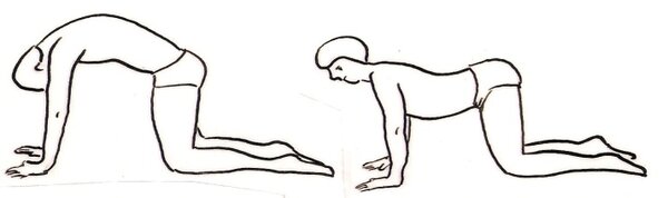 Иллюстрация: выполнение стойки на четвереньках