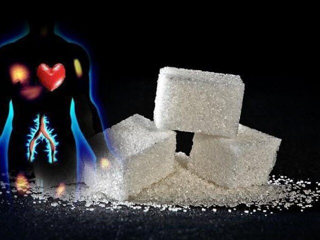 Фото из Яндекс-картинки