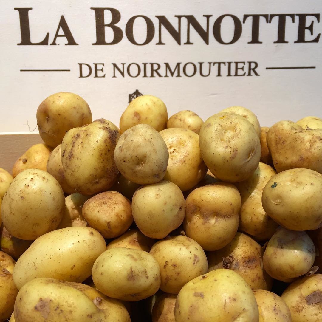 La Bonnotte картофель