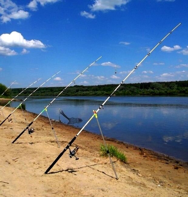 Рыбалка с доннай снастью