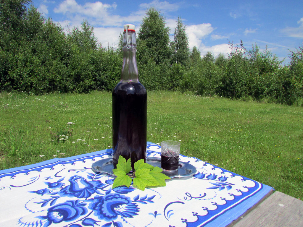 Фото Самогон Саныча