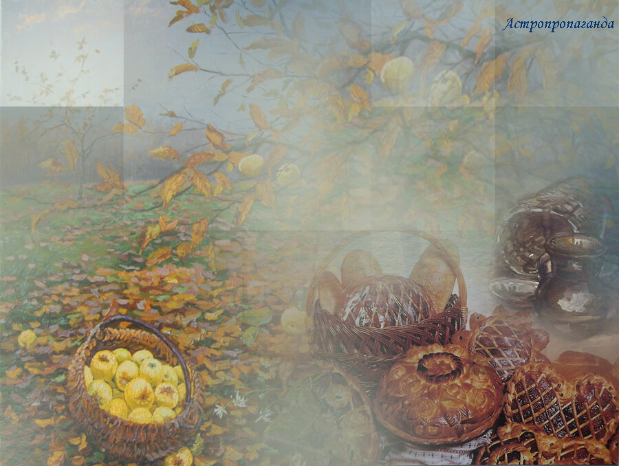 Коллаж Нины Стрелковой.