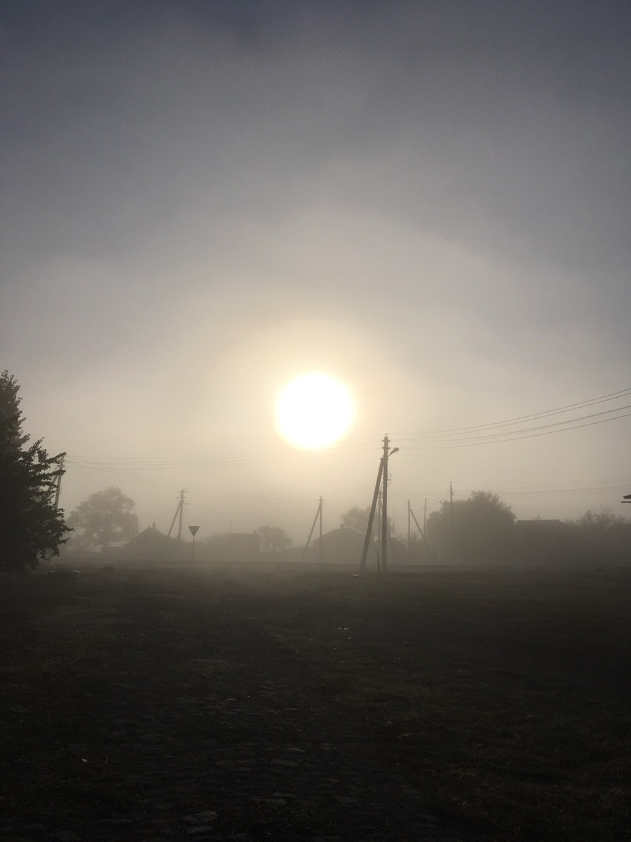 Рассветное