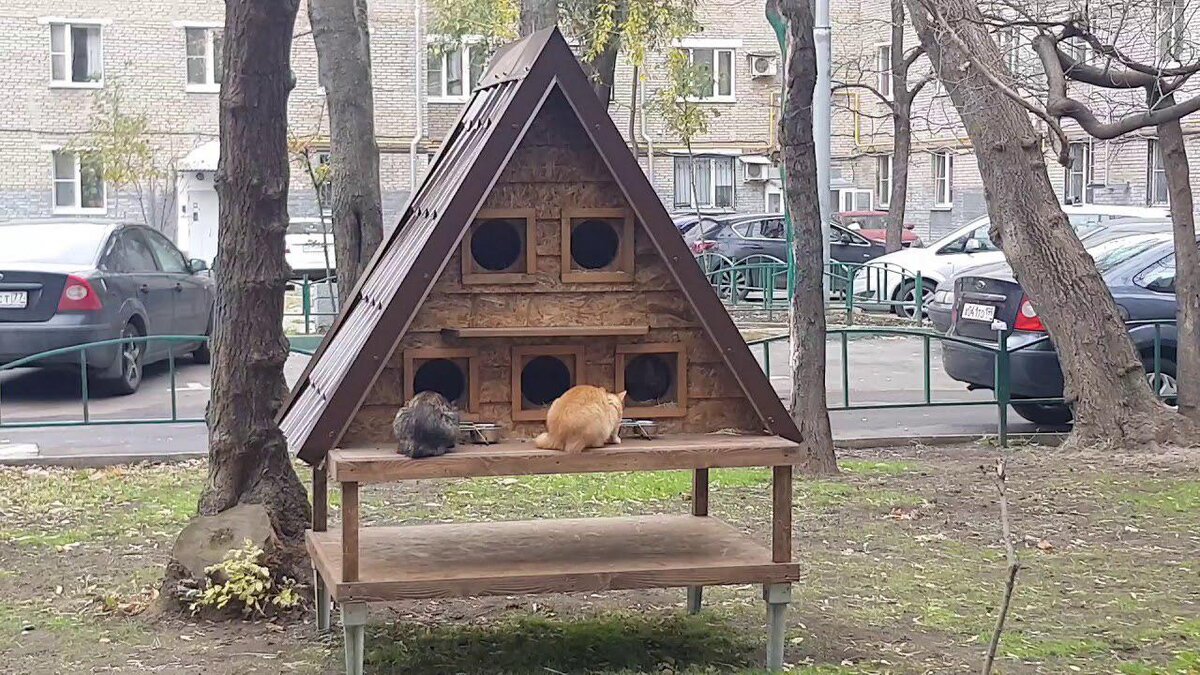  Кошкин дом  https://vk.com/mosc1