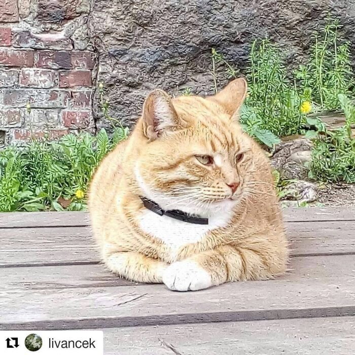 Источник: www.instagram.com/sirfilimon