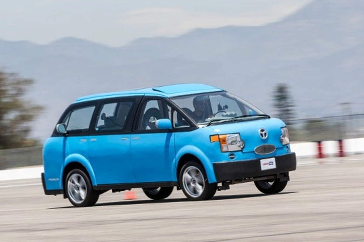 Tartan Prancer. Фотография взята с сервиса Яндекс Картинки