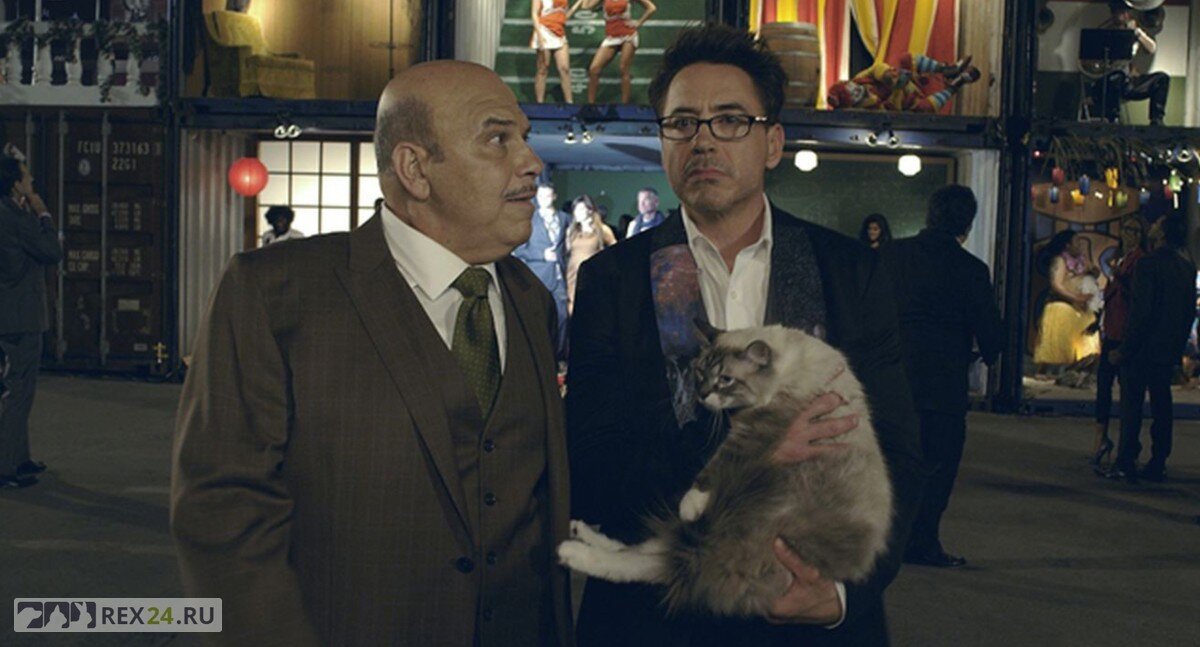 Фото: SlashFilm.com