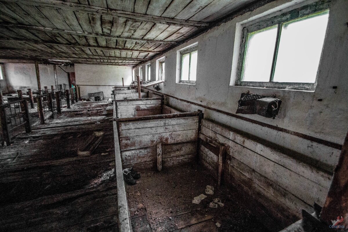 Ночевка в заброшенном свинарнике в Чернобыльской зоне отчуждения. Делюсь впечатлениями