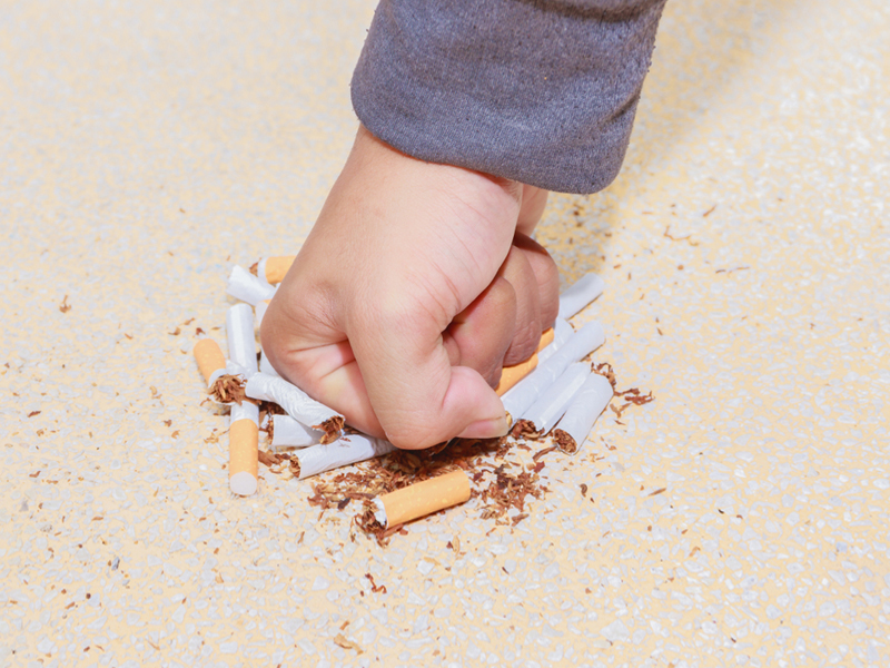 Фото: из сети Интернет