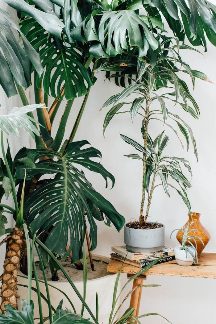 все фотографии с сайта pinterest