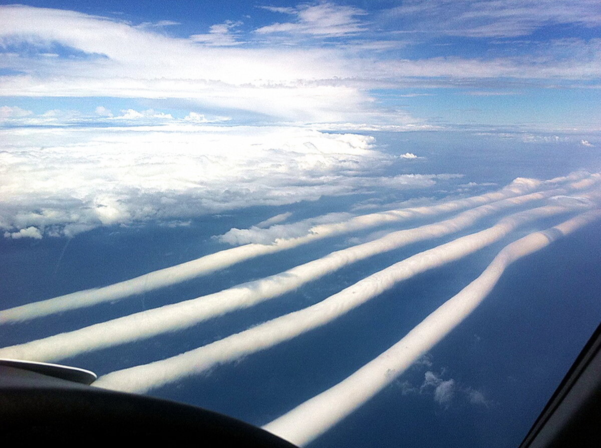 Утренняя Глория Источник: Яндекс Картинки
