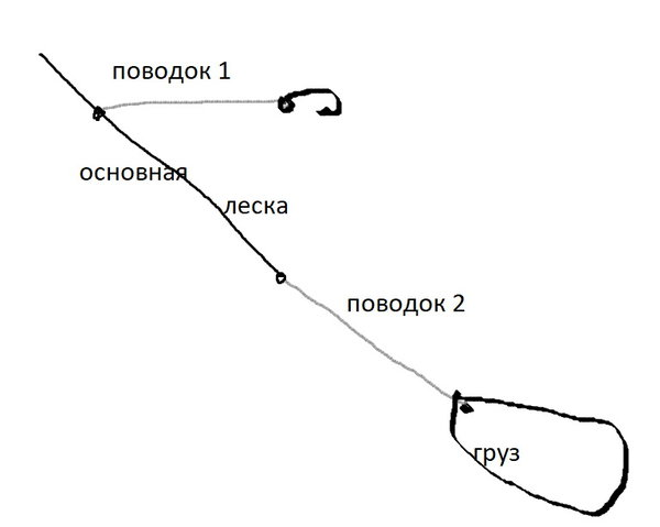 Язь и елец весной и летом - Спортивное рыболовство