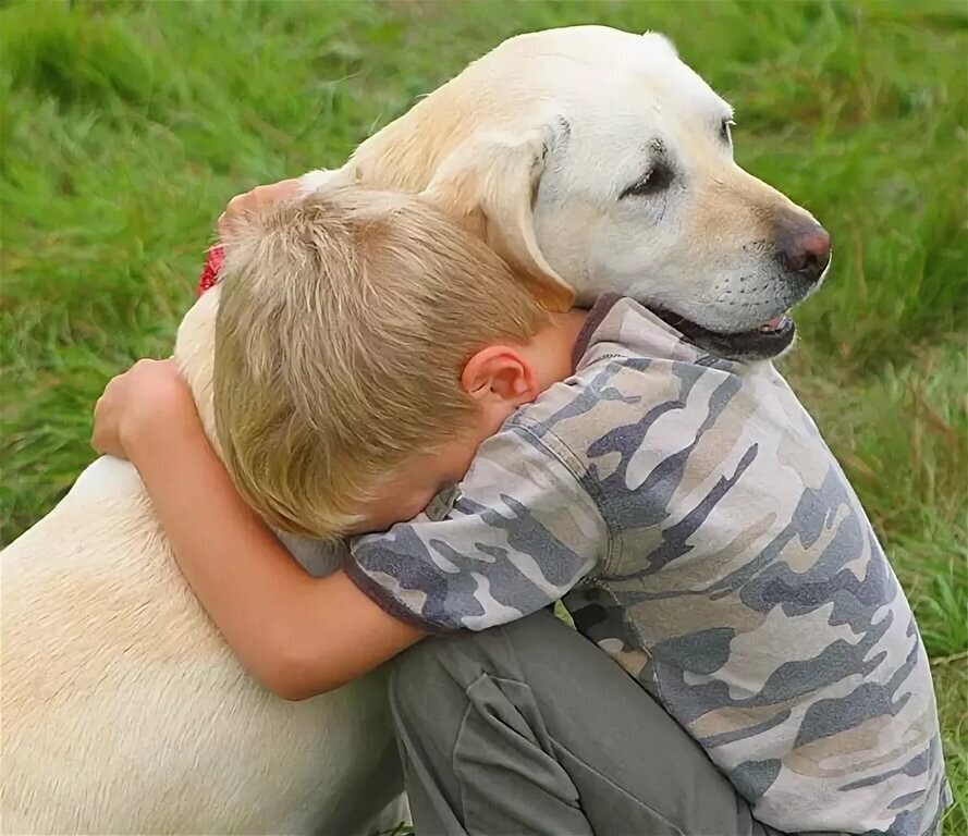 Фото с сайта https://tur.pets-health.com
