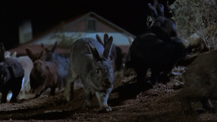 Кадр из фильма Ночь Лепуса/Night of the Lepus