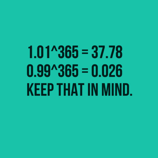 365 возможностей в году