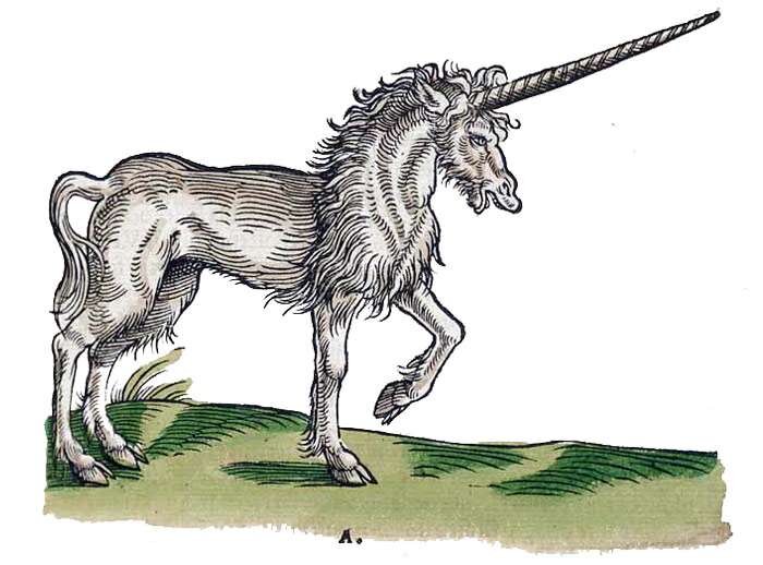 Европейский единорог. Иллюстрации бестиария