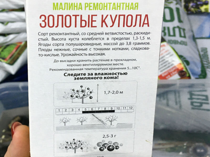 Фото автора канала Жизнь с Амирой