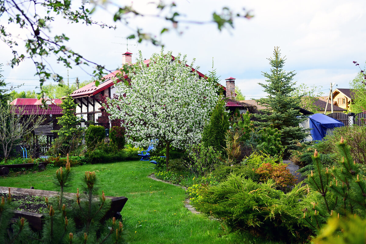 Весенний сад