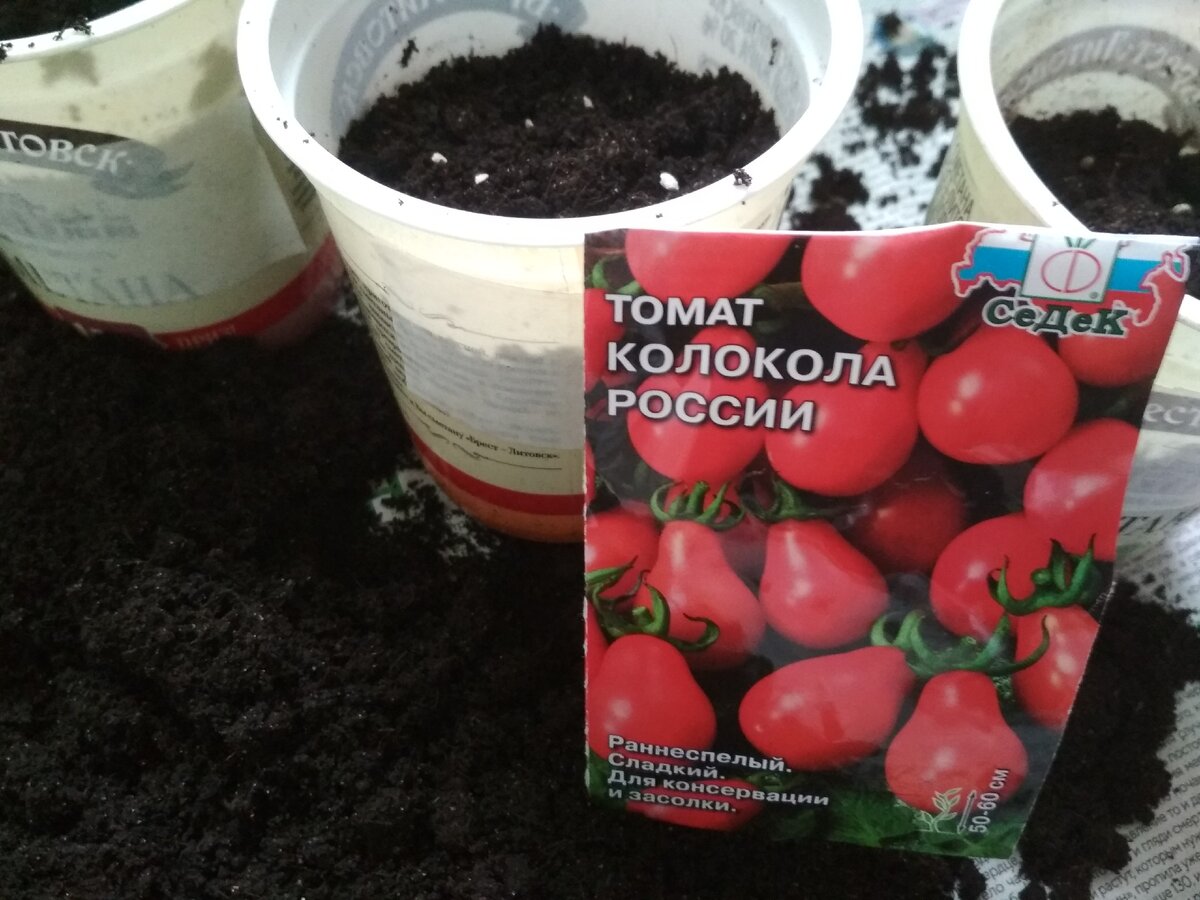Томаты сорта колокола