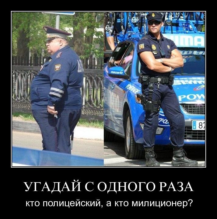 Шутки про милиционеров. Фразы про полицию. Цитаты полицейских. Первое правило полицейского. Шутки про полицию.