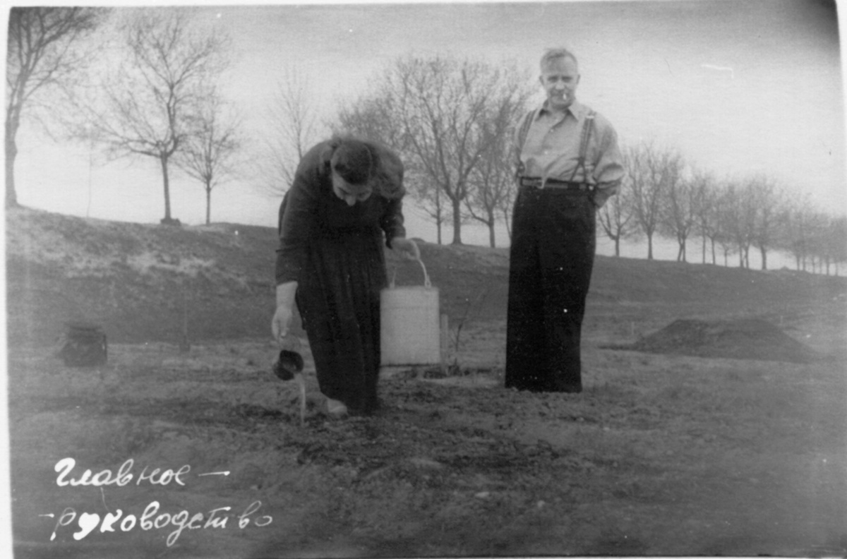 1958 год. Второй год "сельского хозяйства"