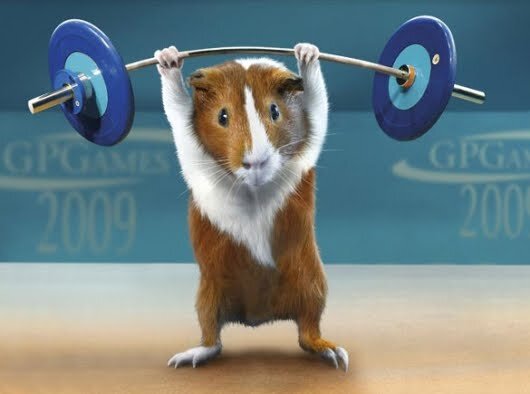 P. S. У вас все получится! 