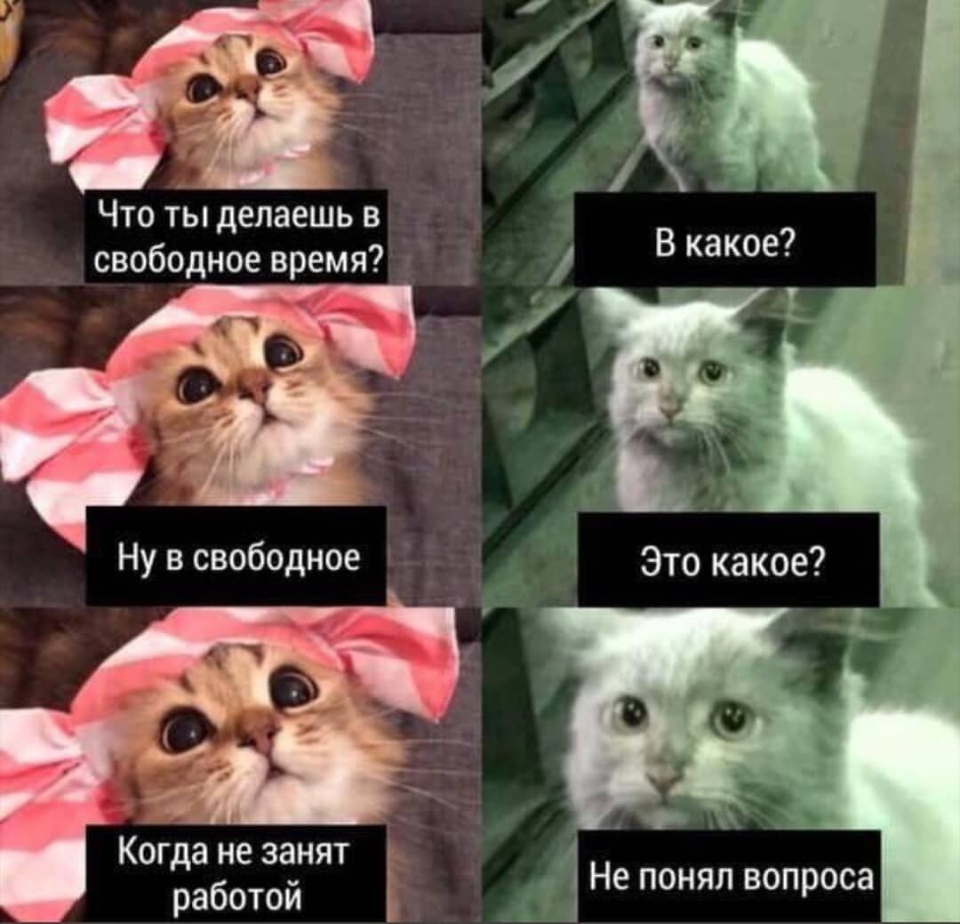 Картинка из открытых источников