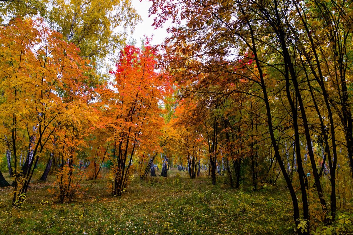 Мой любимый парк осенью