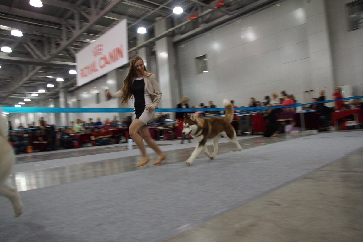 Мы с Игорем на крупной выставке