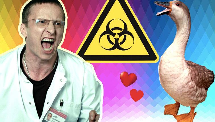 Реактивы от Гусь-Хрустальный