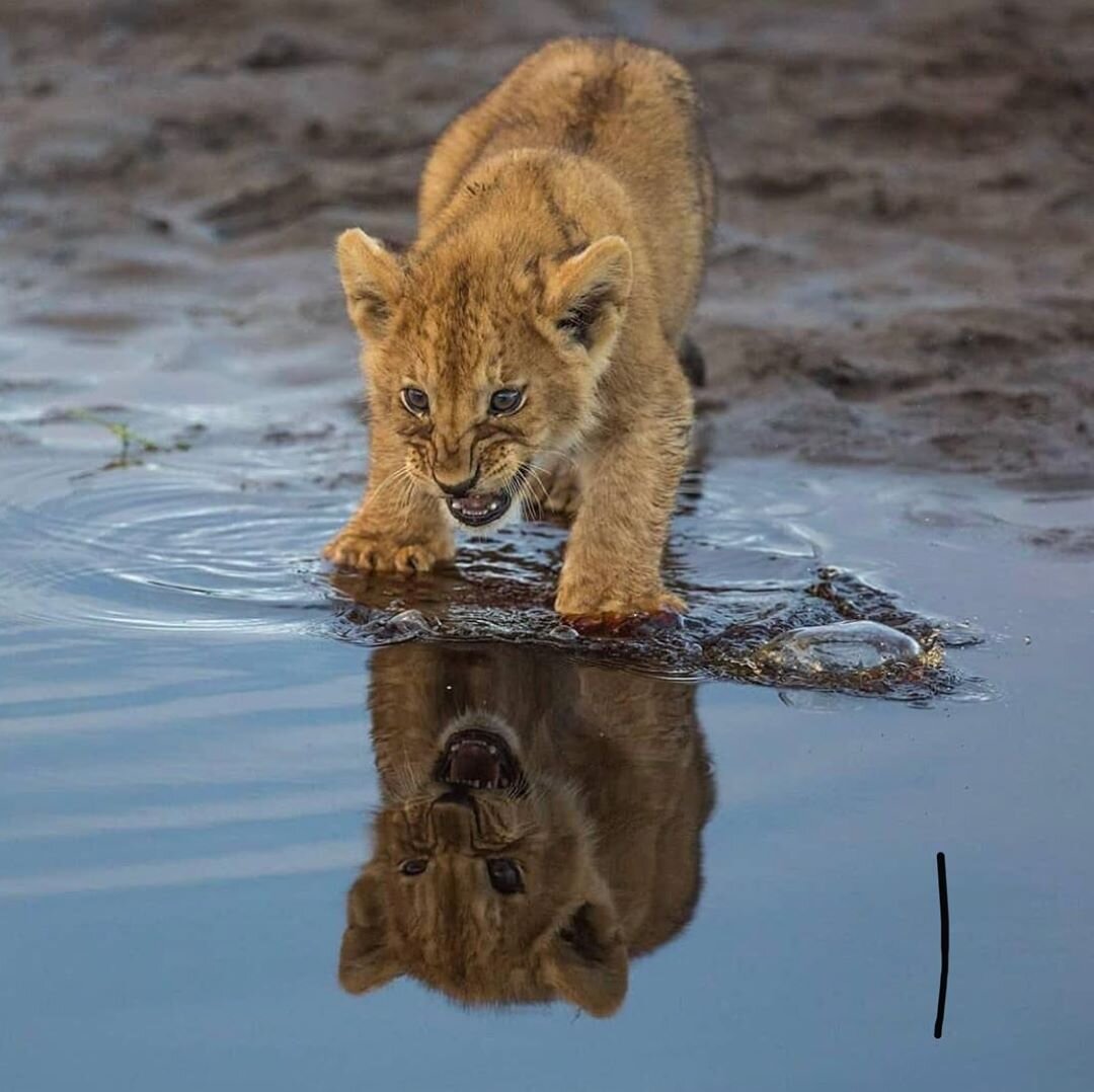 Главный вывод дня: вода - мокрая! :)