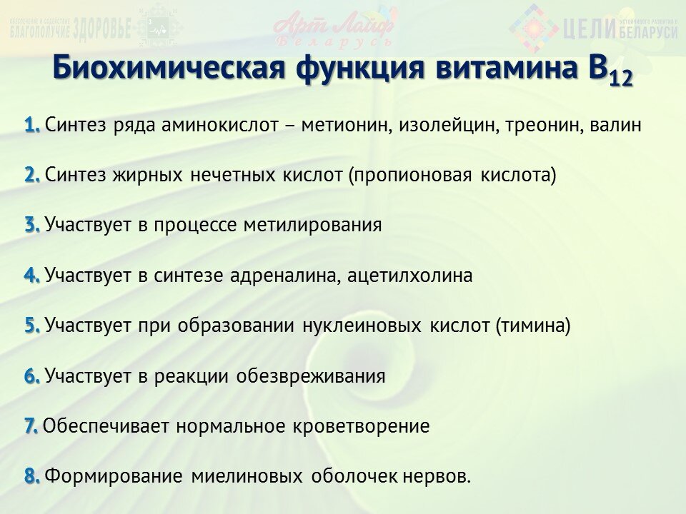 Функции б 6. Витамин в12 функции биохимия. функции витамина в12 в организме человека. функции витамина б12 в организме человека. витамин б12 функции биохимия.