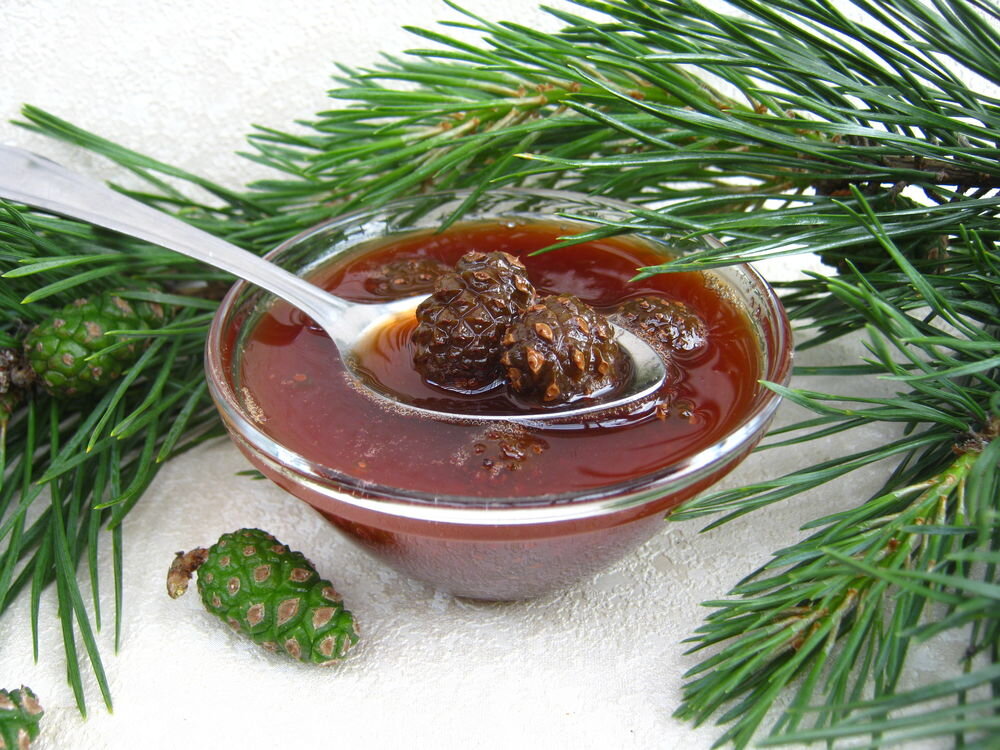 Фото из свободных источников.