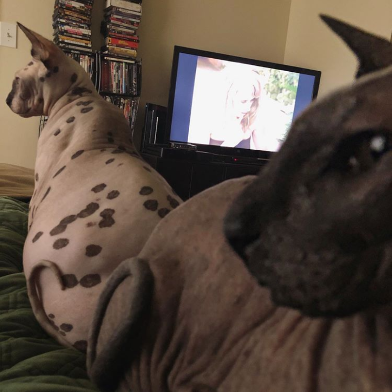 Фото из инстаграм: lemmyandroswell 