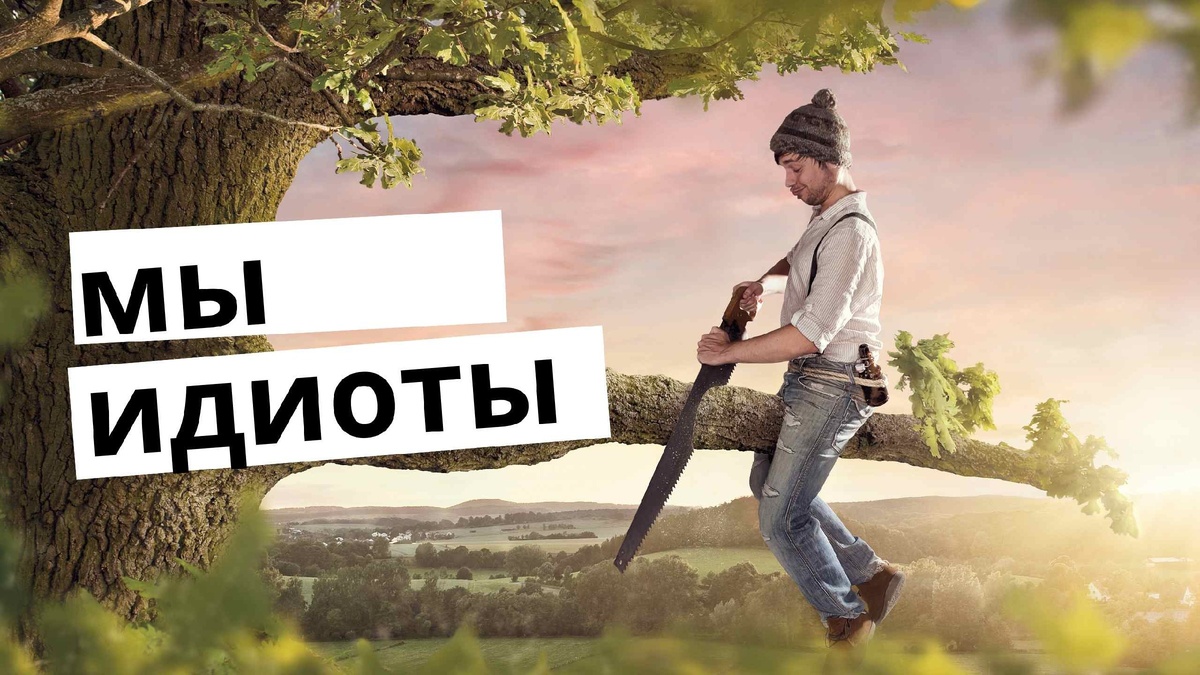 Итак, мы – идиоты!
