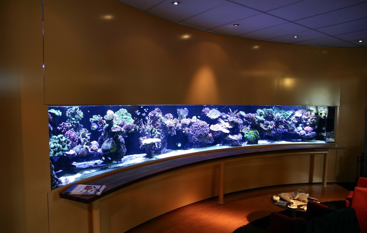 Источник: http://www.reef-master.ru/services/izgotovlenie-akvariumov/vip-akvariumy/