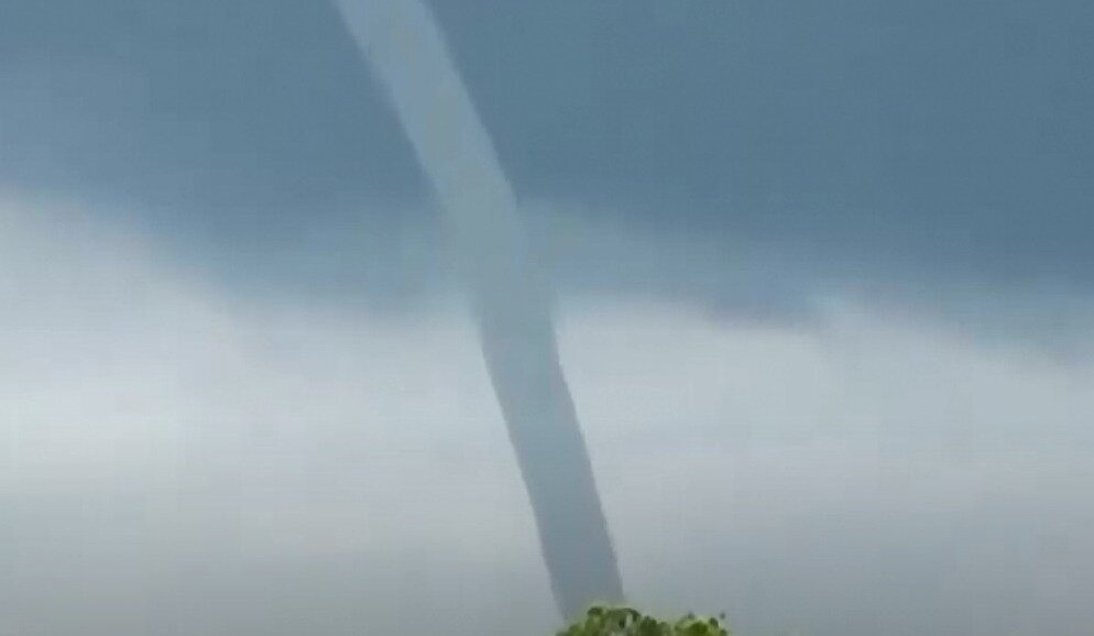 Источник: Viral Press