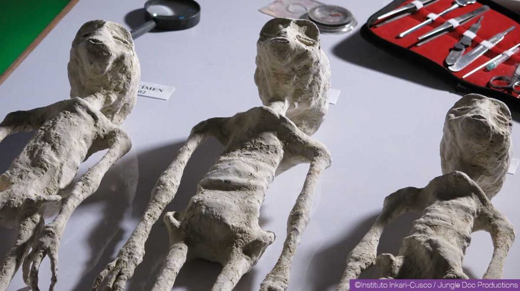 Фото взято: https://yarkov.org