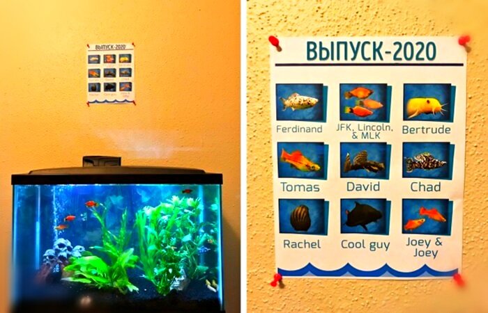 Фото 1. «Выпускной альбом для аквариумных рыбок». Парень постарался на славу. Источник: alecploof/twitter.com 