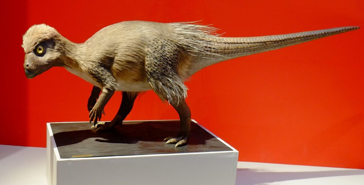 Реконструкция внешнего вида Kulindadromeus zabaikalicus, National Museum of Nature and Science, Japan.