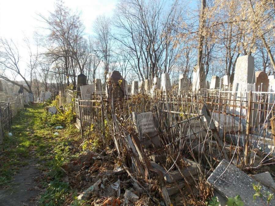 фото с портала express-novosti.ru