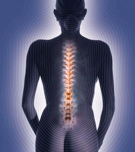 Основа здоровья