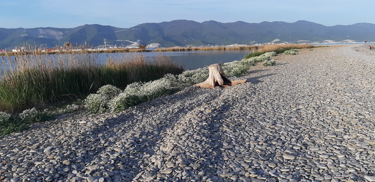 П. Алексино