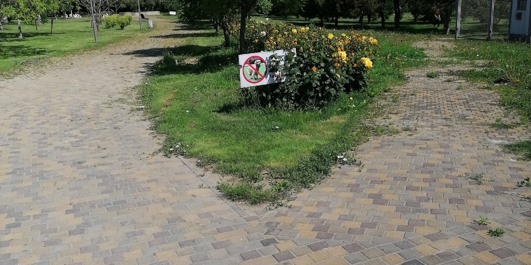 Краснодарский край продолжает жить в режиме колонии-поселения до 21 июня