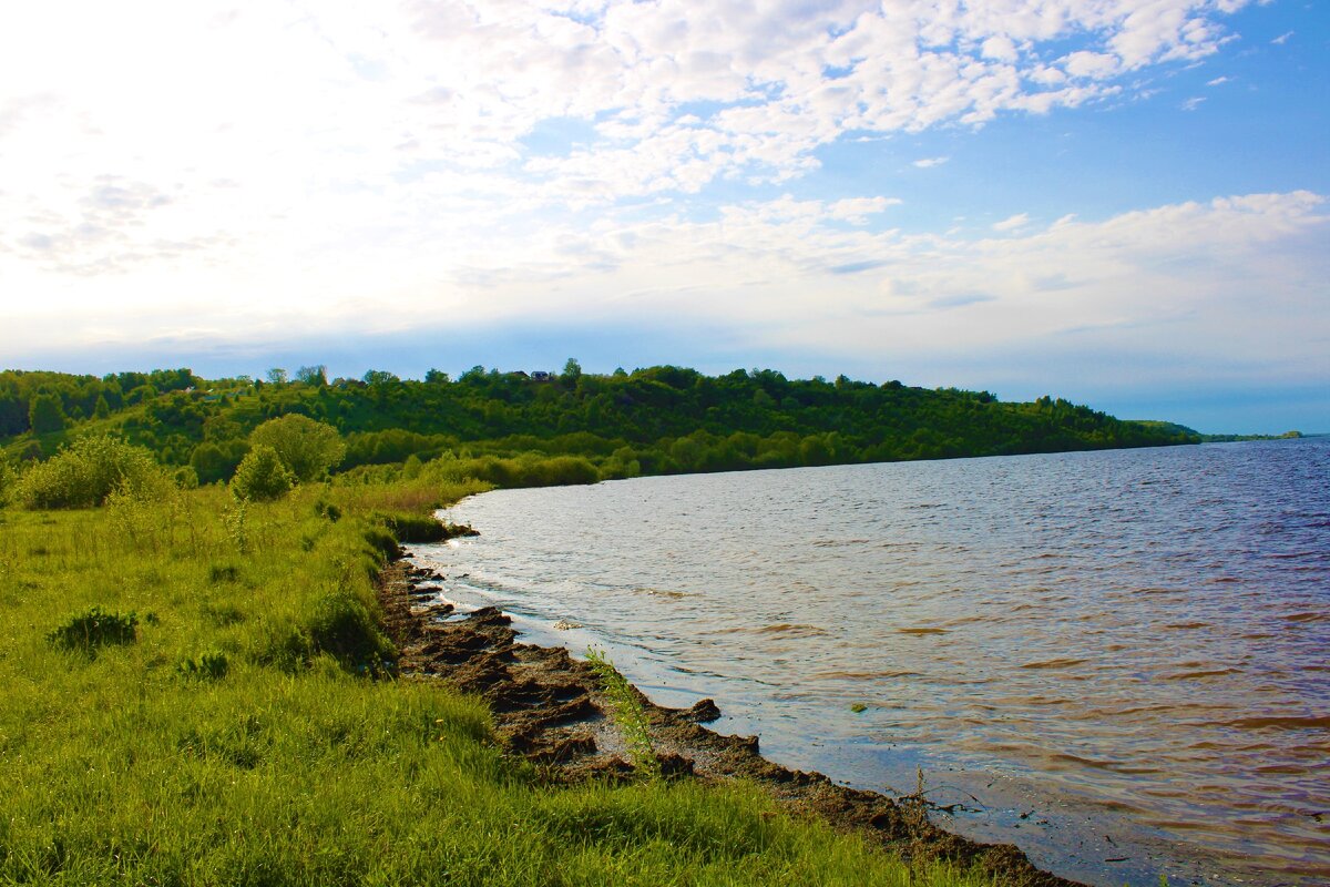 Село на берегу волги. Берег реки Волга Ульяновска. Река Волга Конаково. Поселок Ильинка река Волга. Саратовская возвышенность Волга.