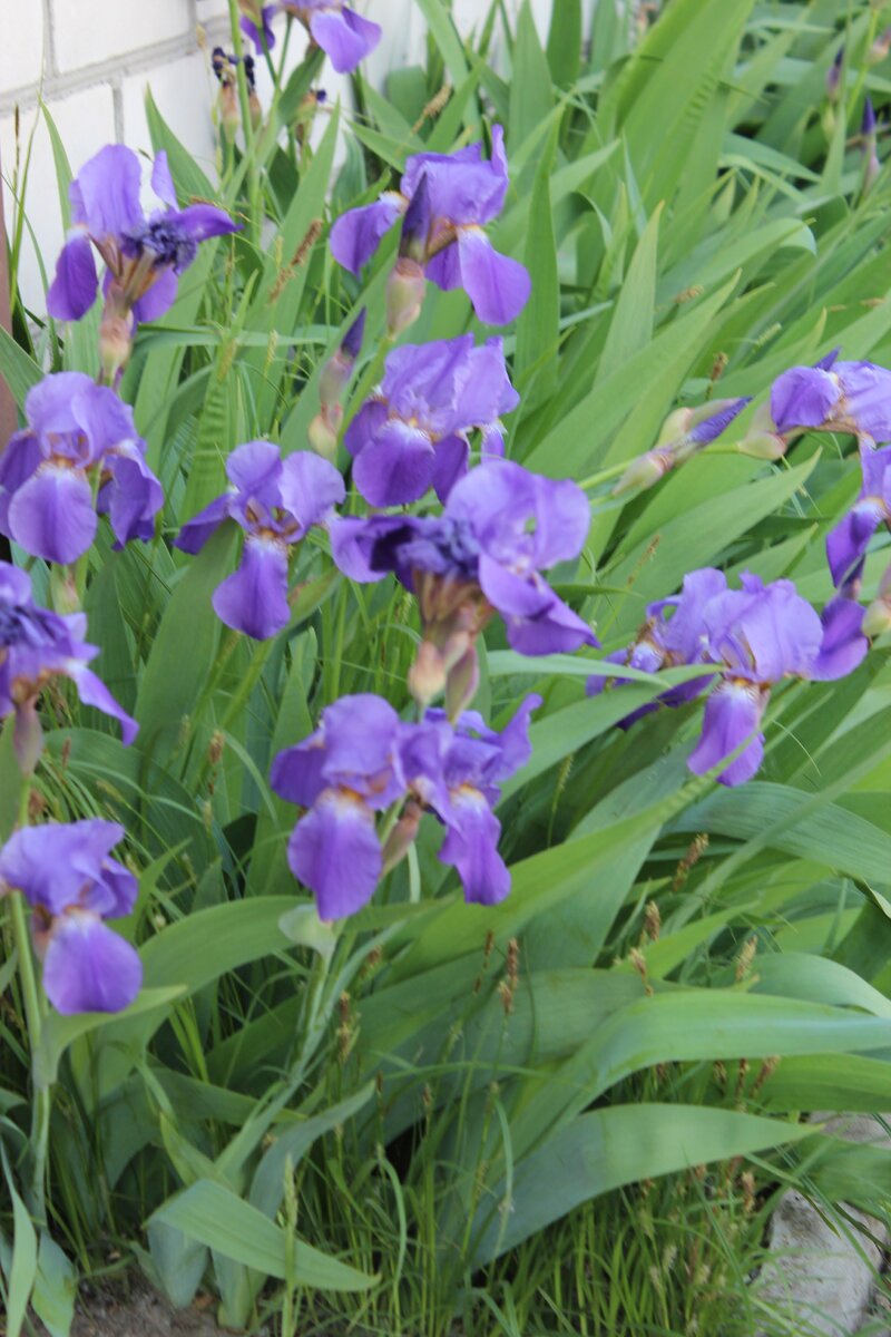 Фото из личного архива