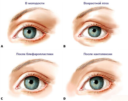 Здоровое питание и режим сна