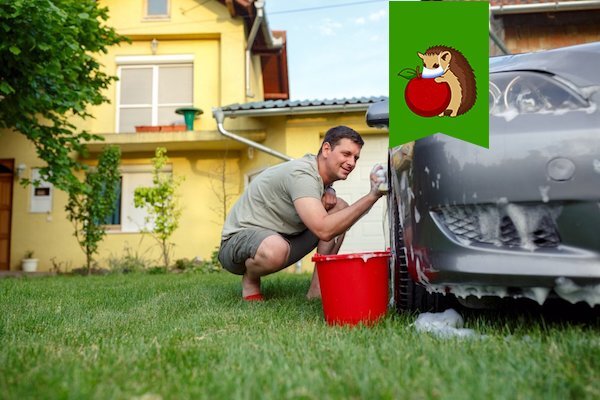 Можно ли мыть машину на дачном участке и как не попасть на шраф?