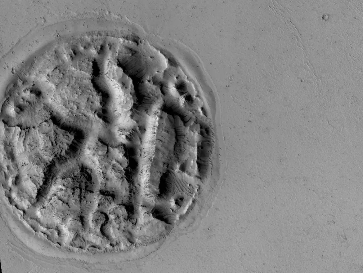 Источник - открытые источники - яндекс картинки