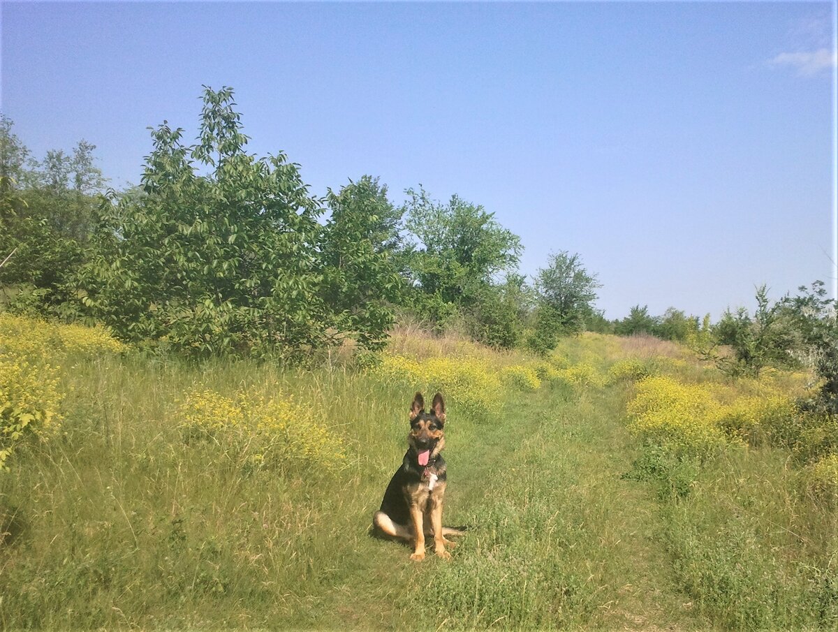 Кейси на поле